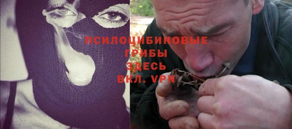 спиды Новодвинск