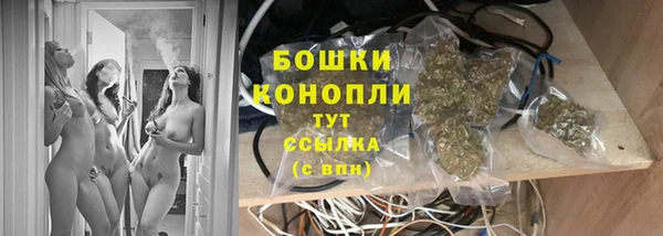 спиды Новодвинск