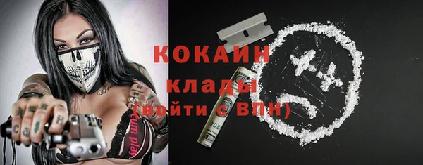 спиды Новодвинск