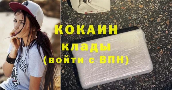 мет Новозыбков