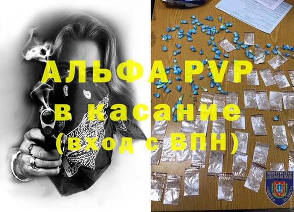 спиды Новодвинск