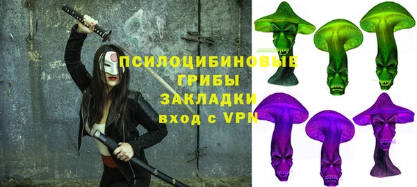 спиды Новодвинск