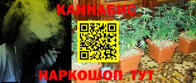 прущие грибы Абакан