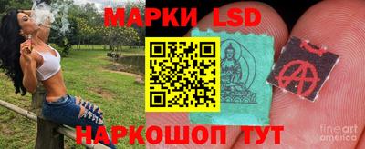 прущие грибы Аргун