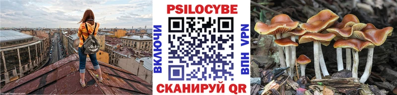 Галлюциногенные грибы MAGIC MUSHROOMS  omg   Донской 