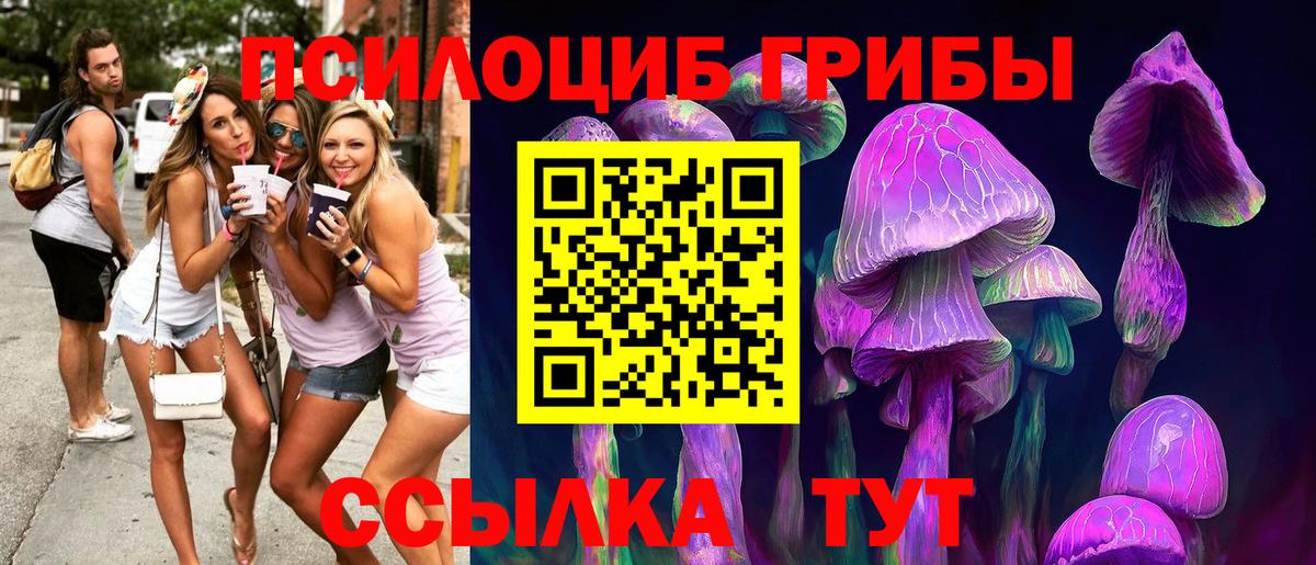 МЕФ Донской