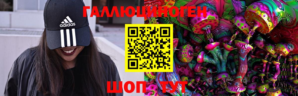 наркота  Псилоцибиновые грибы Psilocybine cubensis  Вход с VPN  Донской 