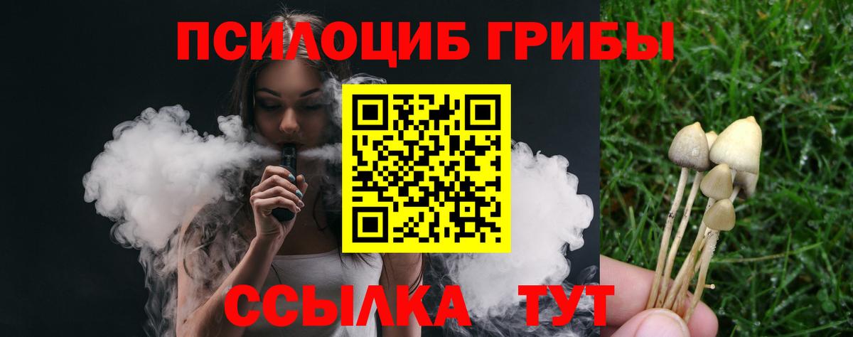 Галлюциногенные грибы мицелий  Донской 