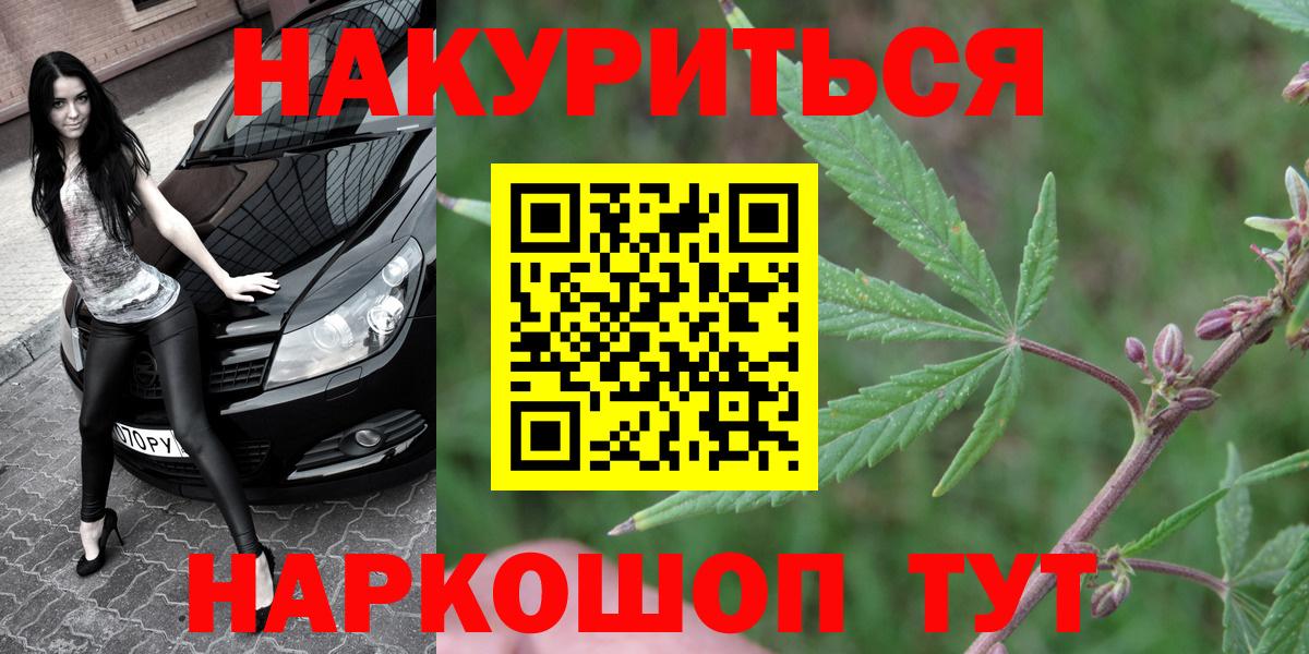 Конопля сатива  МАРИХУАНА планчик  Вход с VPN  Донской 